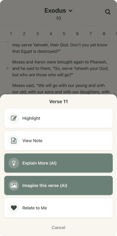 Study Notes & Highlights - Verse Options